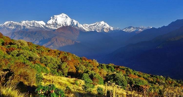 Excursionismo en campamento base del Annapurna con el Parque Nacional de Chitwan - 14 días - Adventure Himalayan Travels 1