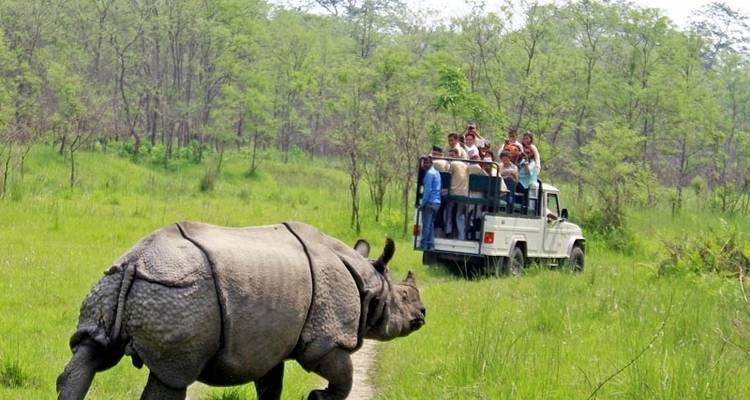 Excursionismo en campamento base del Annapurna con el Parque Nacional de Chitwan - 14 días - Adventure Himalayan Travels 3