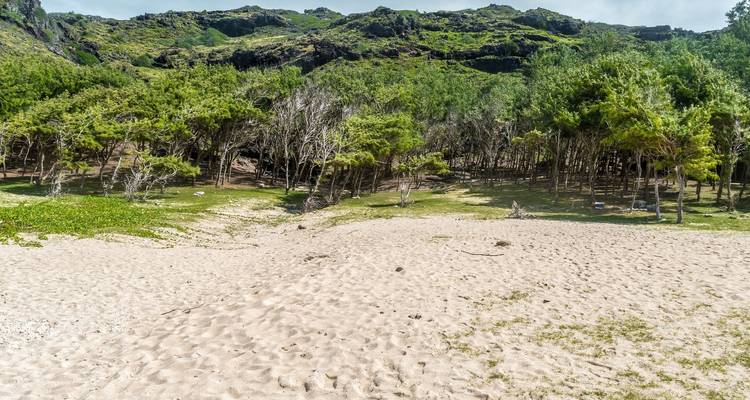Experiencia en Mauricio 10 días /9 noches - Across Africa Tours & Travel 4
