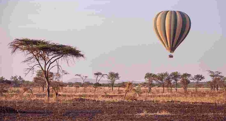 5 Days Joined Group Serengeti, Ngorongoro, Lake Manyara ,Tarangire National Parks - Safari Serengeti Booking 3