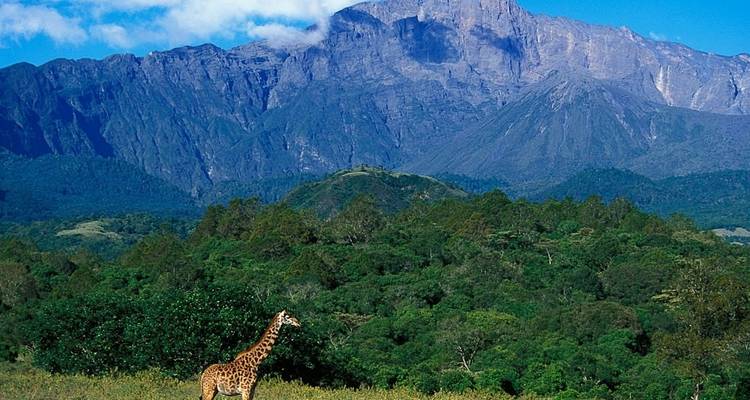 6 días de safari en grupo por los Parques Nacionales del Serengeti, Ngorongoro, Lago Manyara y Tarangire - Safari Serengeti Booking 10