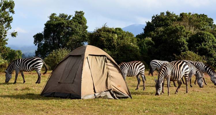 3 Days Private Safari in Ngorongoro, Lake Manyara and Tarangire - Safari Serengeti Booking 10