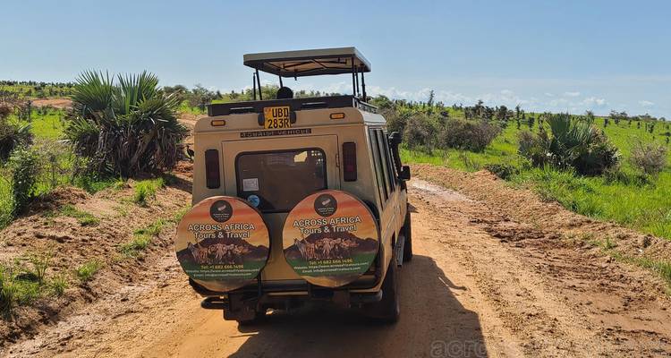 Safari por la fauna de las cataratas Murchison 3 días/2 noches (Comfort Plus) - Across Africa Tours & Travel 3