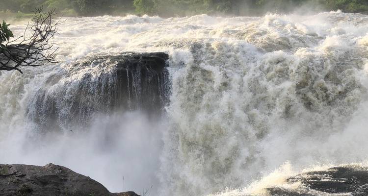 Safari por la fauna de las cataratas Murchison 3 días/2 noches (Comfort Plus) - Across Africa Tours & Travel 6
