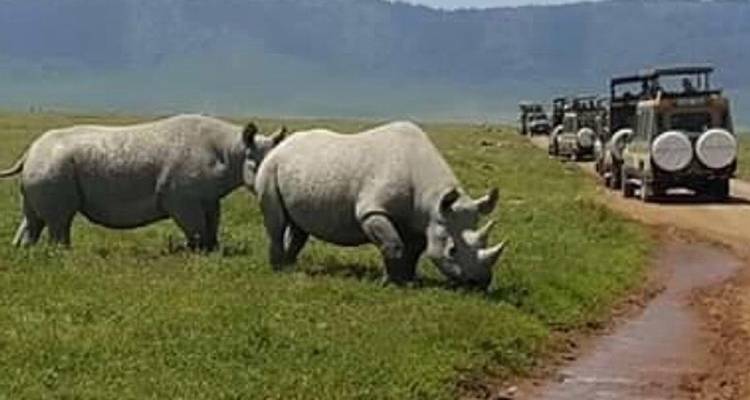 7-Day Journey of the Wildebeest - Luxury - Muraa African Safaris 6