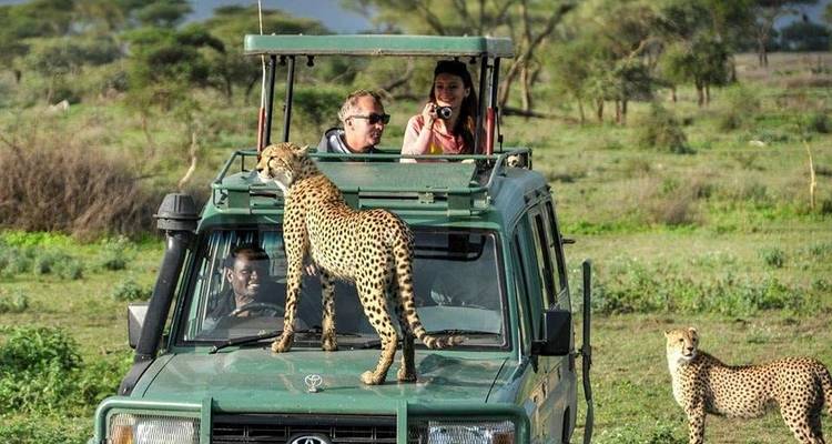 Safari privado de 4 días en campamento por el Serengeti, el Ngorongoro y el Parque Nacional de Tarangire - Safari Serengeti Booking 9