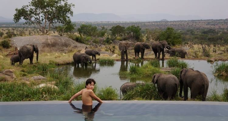 5 Days Safari in Serengeti, Ngorongoro, Lake Manyara,Tarangire National Park - Safari Serengeti Booking 3