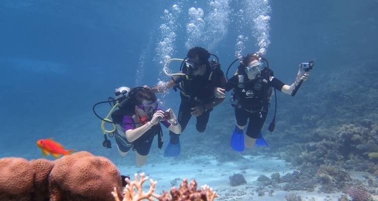 11 días el Cairo, crucero por el Nilo y Sharm el Sheij en vuelo - incluye Komombo - Ancient Egypt Tours 3