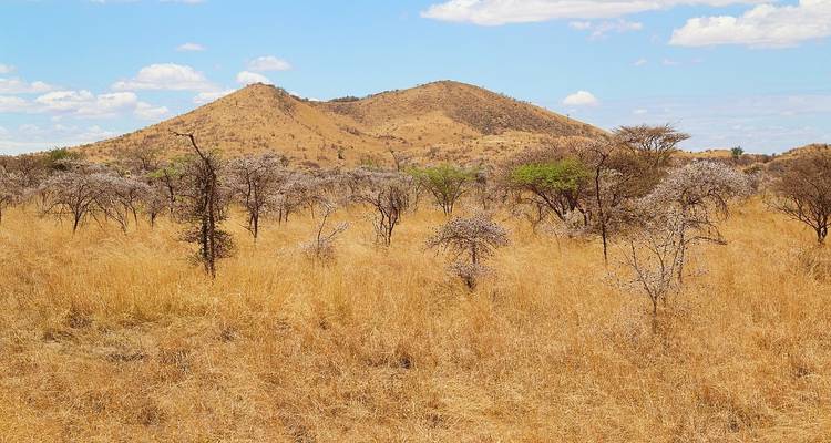 Aventura en Malindi 5 días/4 noches - Across Africa Tours & Travel 3