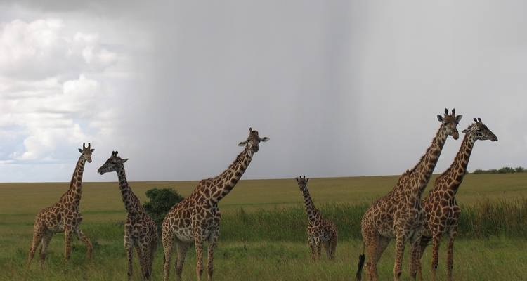 Aventura en Malindi 5 días/4 noches - Across Africa Tours & Travel 2
