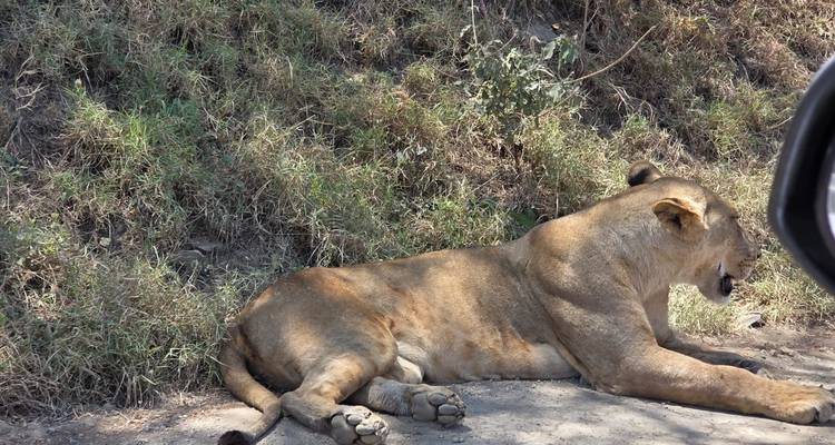 6 días 5 noches lo mejor de Kenia - confort plus - Across Africa Tours & Travel 8