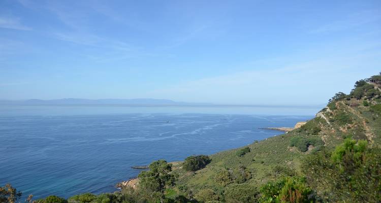 Vue côtière avec des collines verdoyantes et un océan calme.