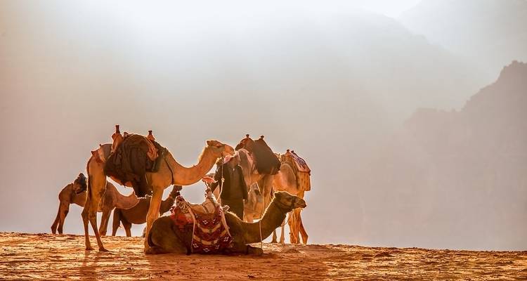 10 Day 9 Night Jordan Tour Highlights (CT-JHT-017) - Jordan Horizons Tours 6