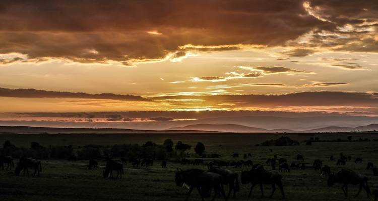 3 Days /2 Nights Masai Mara via The Great Rift Valley (Luxury) - Across Africa Tours & Travel 4