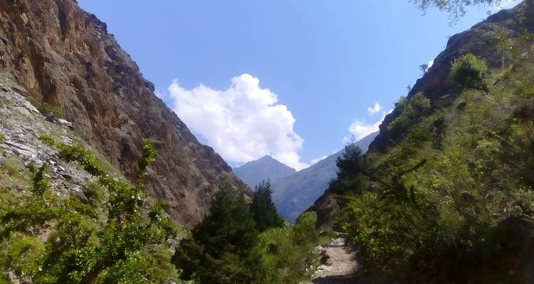 Bergpass mit Grünflächen und einem klaren blauen Himmel.