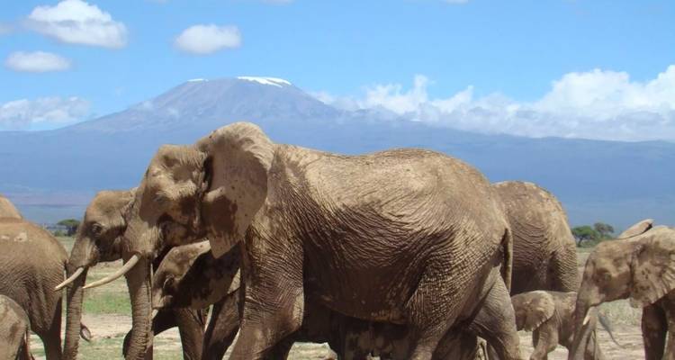 3 Days 2 Nights in Maasai Mara via The Great Rift Valley - Across Africa Tours & Travel 9