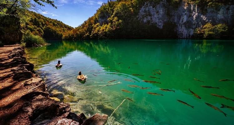 Croatian Highlights Private Tour from Zagreb to Dubrovnik - Nature Trips 2
