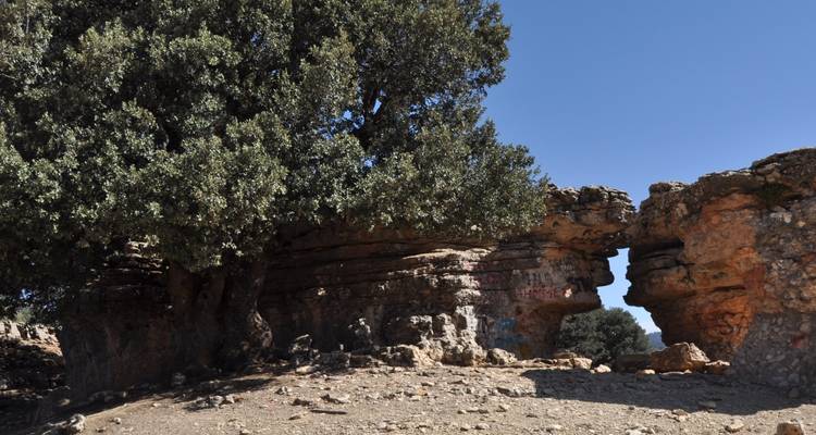 Des formations rocheuses uniques avec un grand arbre dans un paysage accidenté.