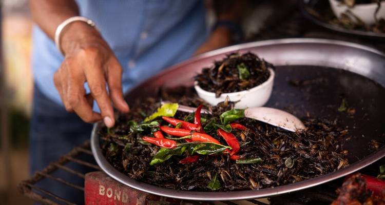Un vendeur assaisonne un plateau d'insectes frits croustillants garnis de piments rouges et d'herbes.