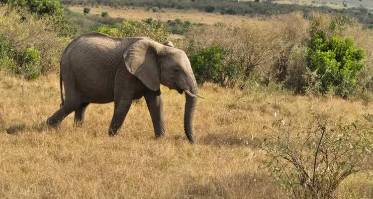 3 Days/2 Nights Masai Mara via The Great Rift Valley (Comfort) - Across Africa Tours & Travel 2