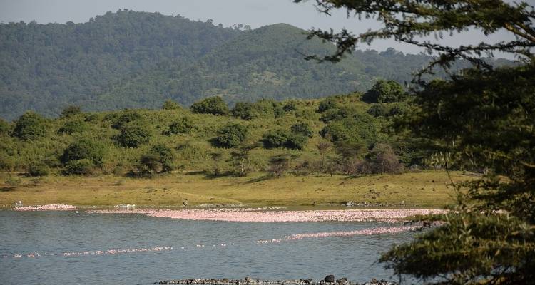 Paisaje pintoresco con colinas y un lago lleno de flamencos.