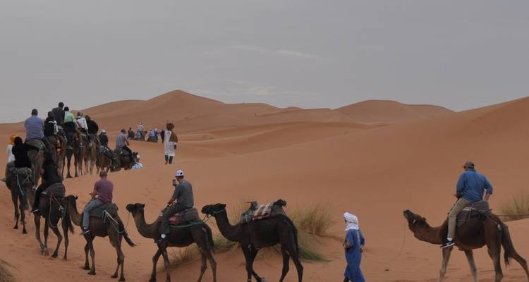 Marruecos montañas, estepas y desierto circuito Absoluto - Morocco Discoveries 3