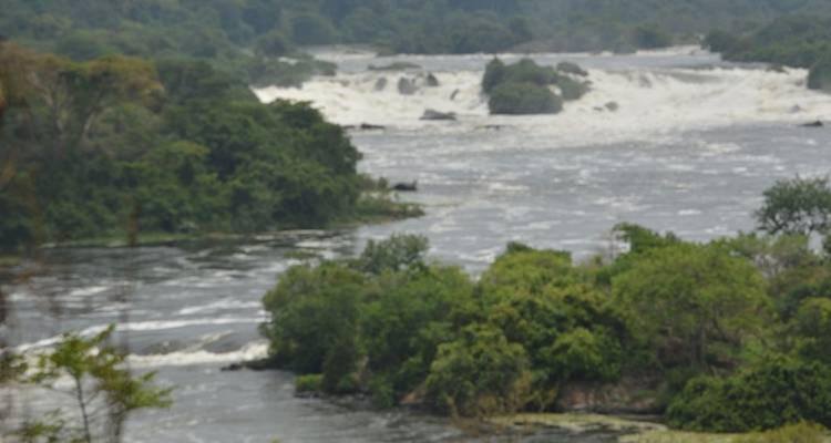 2 days Murchison falls wildlife safaris - Simba Africa Expeditions 9
