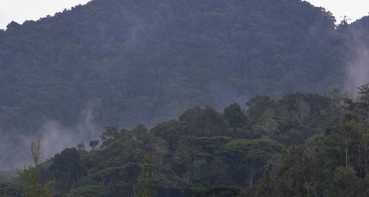 2 jours à pister les gorilles de Bwindi au départ de Kigali - Simba Africa Expeditions 1