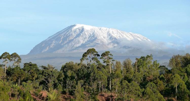 Le sommet enneigé du mont Kilimandjaro se dresse au-dessus de la forêt verdoyante et du ciel bleu cristallin.