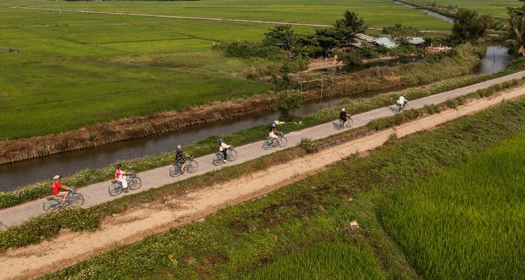 Line of cyclists riding along a narrow path between vivid green rice paddies and an irrigation canal.