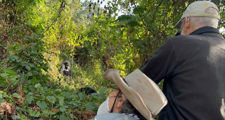 4 Day Budget Rwanda Uganda Golden Monkey & Gorilla Tour - Safari 2 Gorilla Tours (U) Ltd 2