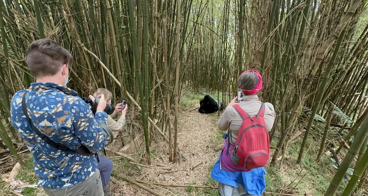 4 Day Budget Rwanda Uganda Golden Monkey & Gorilla Tour - Safari 2 Gorilla Tours (U) Ltd 3