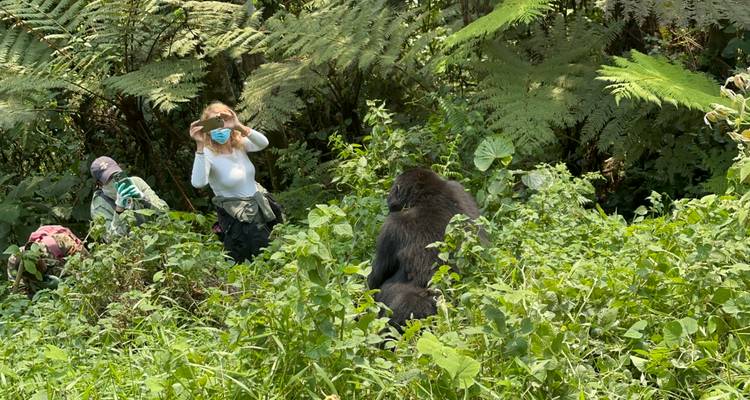 4 Day Budget Rwanda Uganda Golden Monkey & Gorilla Tour - Safari 2 Gorilla Tours (U) Ltd 4