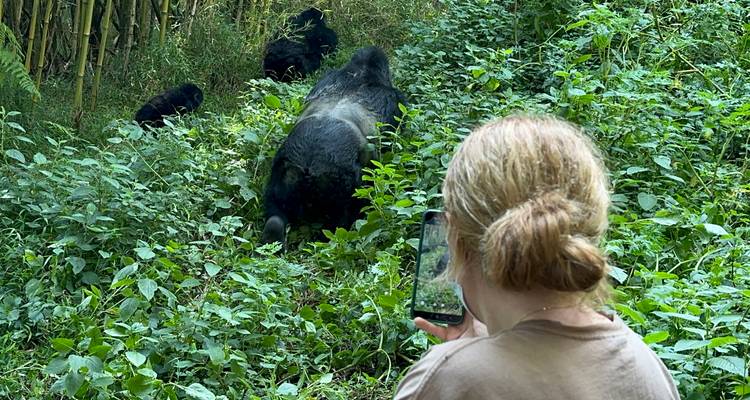 4 Day Budget Rwanda Uganda Golden Monkey & Gorilla Tour - Safari 2 Gorilla Tours (U) Ltd 6