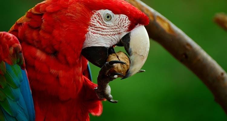 Costa Rica: Monteverde and La Fortuna - G Adventures 8