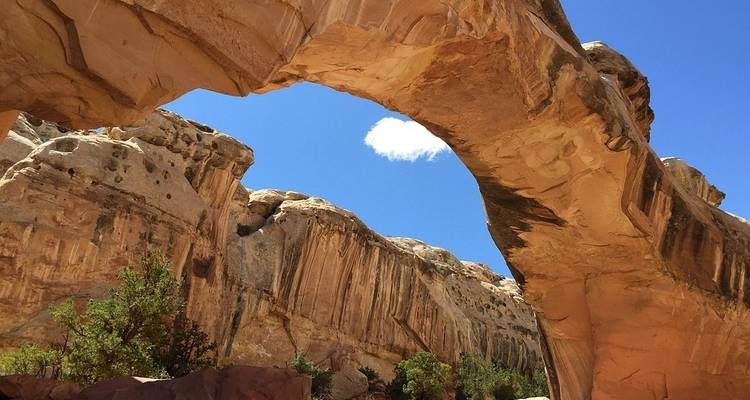 Trek les 5 plus grands de l'Utah - G Adventures 10