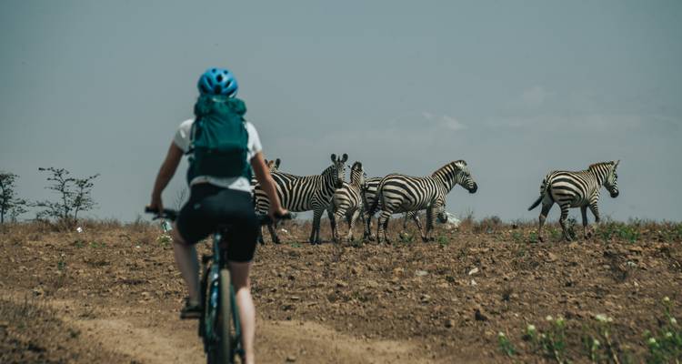 Kilimanjaro 360° circuito en bicicleta - circuito de Kilimanjaro - One Bike Tanzania 3