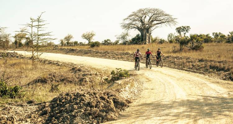 En bicicleta del KiLimanjaro al cráter del Ngorongoro - One Bike Tanzania 6