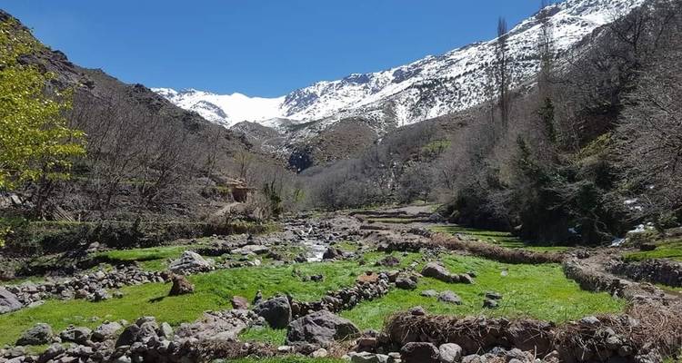 Bergdal met beek en groene velden.