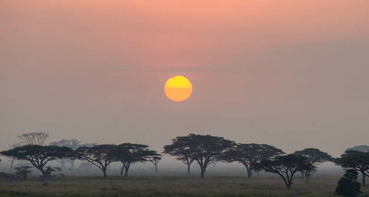 Especial temporada Baja 7 días: abril y Mayo - Adventure Makers Tanzania 4