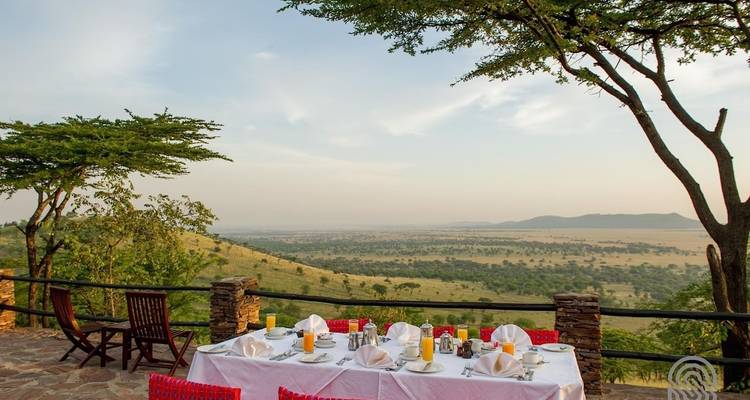 Especial temporada Baja 7 días: abril y Mayo - Adventure Makers Tanzania 7