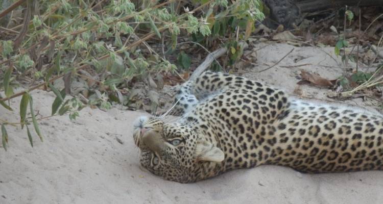 Especial temporada Baja 7 días: abril y Mayo - Adventure Makers Tanzania 1