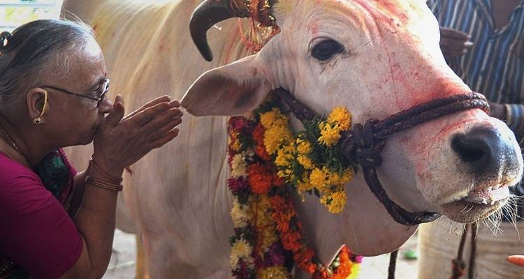 Circuito al triángulo de oro de la India con Haridwar Rishikesh - Travelaera 9