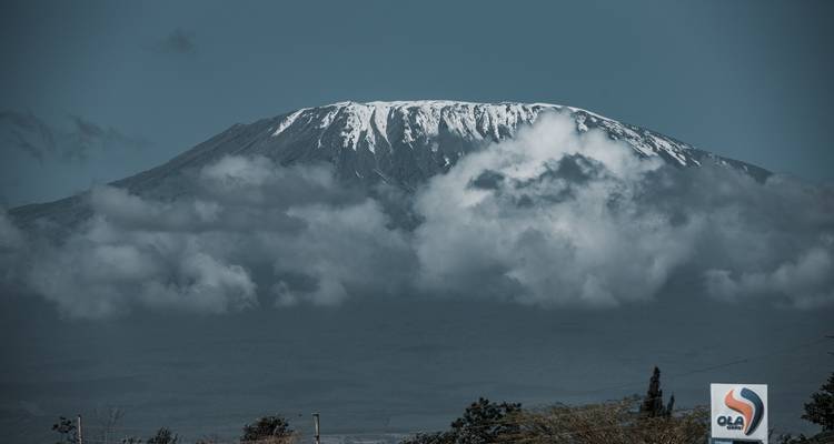 8 jours de Trekking sur le Kilimandjaro - Route du Lemosho - Muraa African Safaris 4