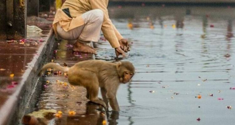 Triangle d'or avec Rishikesh - Yoga - Yolo India Tours 4
