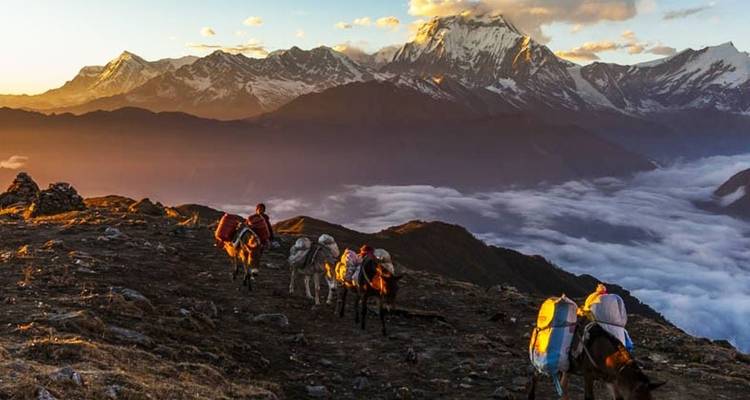 Senderismo corto Ghorepani Poon hill - Sherpa Expedition Teams 1