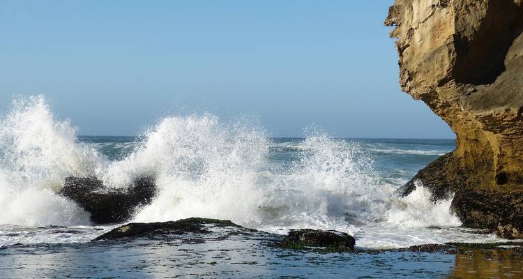 4 Day | Garden Route Tour - Timeline Travel DMC 2