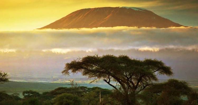Mount Kilimanjaro with acacia trees in the foreground at sunrise.