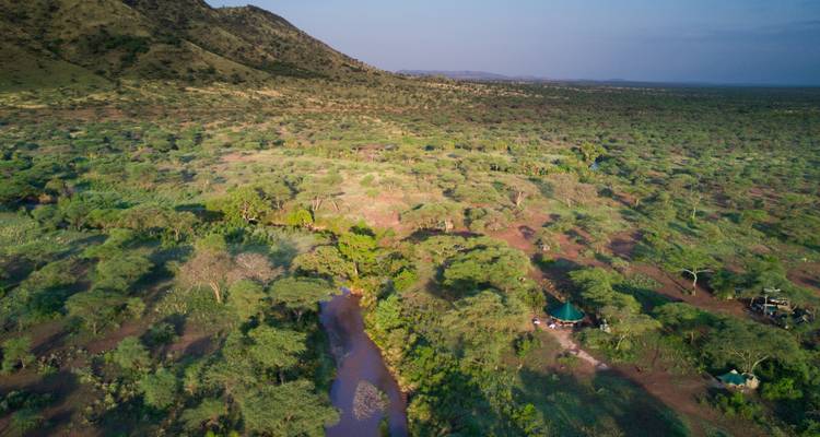 Aerial view of a lush green landscape.