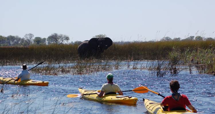 Kayakers on a waterway watching elephants.